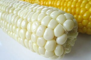 雪の妖精/東京インテリアデザインセンター/家具/栃木県鹿沼市/野菜ソムリエ/トウモロコシ