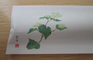 定食/みたか亭/東京インテリアデザインセンター/家具/栃木県鹿沼市/ランチ