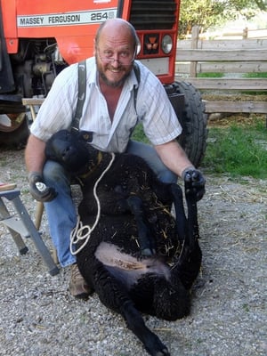 Klauenpflege Jurawidder