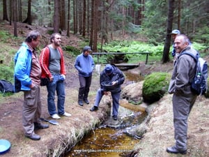 Goldwaschen am Zahlbach