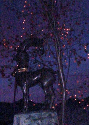 Arosa, Steinbock, Foto Beatrice Ganz