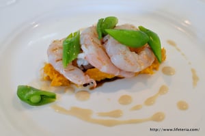 LifeTeria blog ブログ　エルルカン　ビス