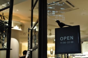 LifeTeria blog リプトンティーハウス