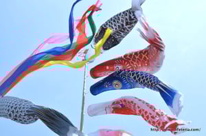 LifeTeria blog ブログ