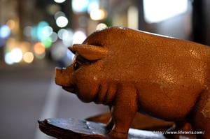 LifeTeria blog ブログ