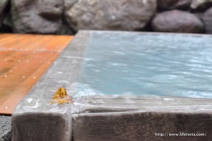 LifeTeria blog ブログ