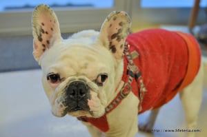 LifeTeria blog ブログ