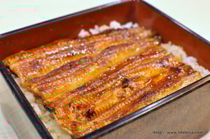 LifeTeria blog ブログ　若竹