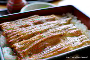 LifeTeria blog ブログ　日本橋伊勢定