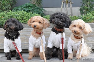 LifeTeria blog ブログ