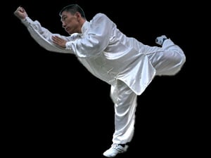 Kung Fu Tenerife, Wushu Tenerife, Kung Fu La Laguna, Wushu La Laguna, Kung Fu Canarias, Wushu Canarias