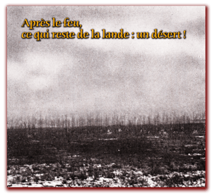 orthe, feu, foret, incendie, pignada, mirador, prevention, landes, aquitaine, etigny