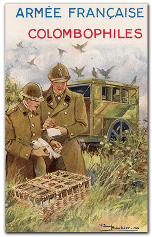 orthe , bélus , landes , durosoir , violon , maréchal , caplet , neuville st vaast , guerre , colombophile ,  1914 , douaumont ,  quintette du général