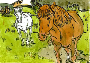 "Katrina & Nimbus" - Ink and watercolor