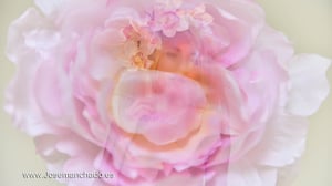 agencias de modelos madrid, agencia de modelos madrid, book de fotos, agencias de modelos, agencias modelos madrid, fotografo book, book de fotos en madrid, fotografo de modelos, agencia modelo de fotografia y anuncios, agencia modelos publicitarios madri