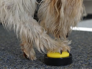 Aufgabe mit Futterverknüpfung