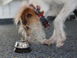 Aufgabe mit Futterverknüpfung