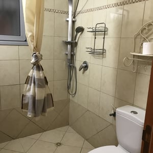 Parents shower bathroom