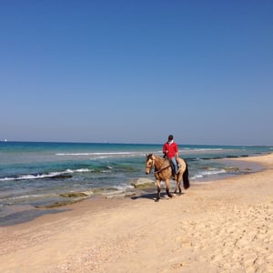 Centre d'équitation Lakhish