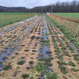 La Ferme de Florian & Sophie à Palenge - Septon