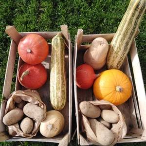 La Ferme de Florian & Sophie | Légumes et pommes de terre