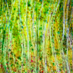 "THROUGH THE RAINFOREST VEIL"  (24x20 on finished 1.5" deep cradle wood panel)  $1800