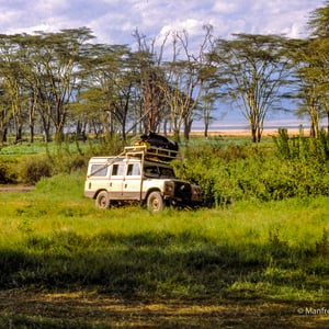 Im Ngorogoropark, Tansania