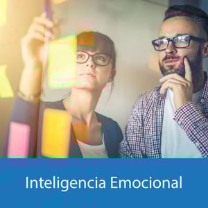 Inteligencia Emocional en las Organizaciones