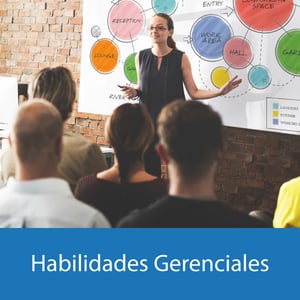 habilidades gerenciales