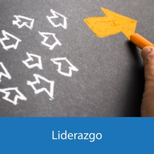 Liderazgo Efectivo
