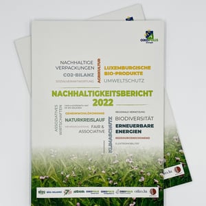 Layout and design for sustainability brochure