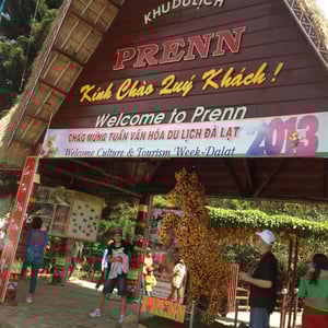 Le cheval de Fleurs à Prenn