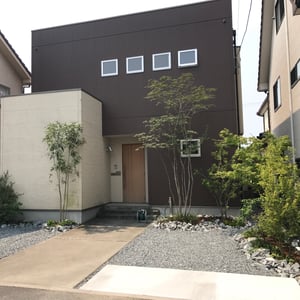 シンボルツリーである「アオダモ」。4ｍを越える高木でも幹のラインがしなやかで美しく、背の高いところで葉をつけるので「大きな日傘」の役割をしてくれます。