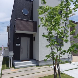 シンプル＆グリーンをコンセプトにデザインしました。　株立ちのシラカシと芝生のみの植栽ですが、緑地面積を多くとることで印象が柔らかくなっています。　　お出かけの際に玄関を開けると植物が目に入ります。『玄関を開けた時に何が見えるか？』デザインをする上でとても大切なことだと思います。　　　　　　　　　　　　　　　　　　　　　　　　　　　　　　　　　　　　　　　　　　　　　　　　　　　　　　　　　　　　　　　　　　　　　　　　　　　　　　　岡山市北区　S様邸　エクステリア　フラワーチルドレン