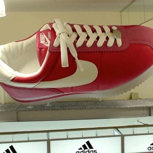 スニーカー　ディスプレイ