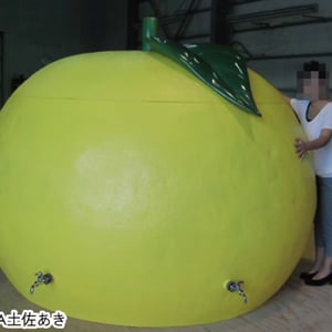 ゆずジュースサーバー　-JA土佐あき早摘みゆず収穫祭-