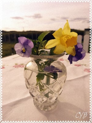 De första vårblommorna på trädgårdsbordet