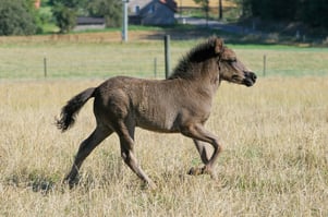 "der mit dem gutem Takt"