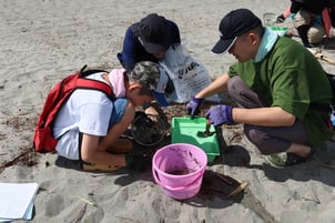 ②マイクロプラスチックごみを調べる