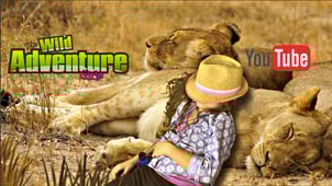 wild adventure girls, lions, african lions, youtube, kids show