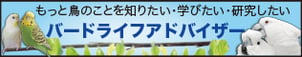 もっと鳥のことを知りたい・学びたい・研究したい