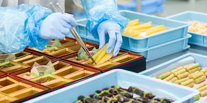 食品工場でおせちの具材を容器に詰める作業