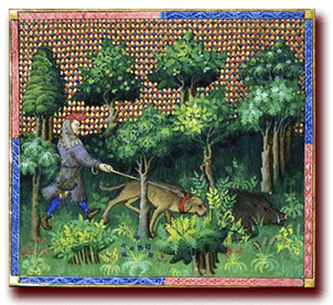 orthe landes peyrehorade aquitaine chasse, bois, foret, veneur, curée, gibier, sorde hastingues cagnotte gave adour saumon chalosse abbaye