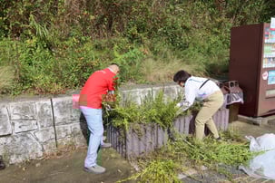 花壇の草取り、歩道の除草活動