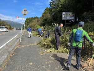 1年経過すると草で歩きにくい!