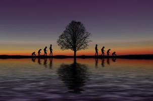 Menschenpflichten Dialog 2