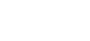Seva Consulting