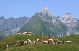 Col Pyrénées Tour de France - Gîte Casa Bonita et FTC SPORT