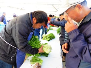 生産者の心のこもった野菜を手から手へ