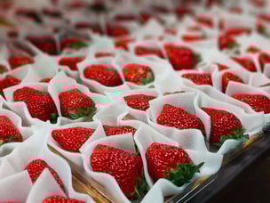 ギフト用いちご。ふんわり大事に包んでお届けいたします。お雛祭りや卒入学シーズンのお祝いに…頑張っている自分へのご褒美にも！ぜひ♪